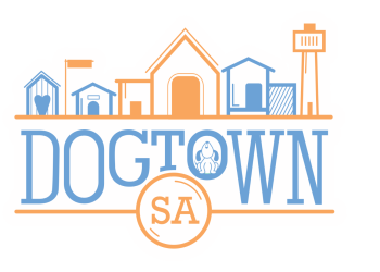 DT Logo